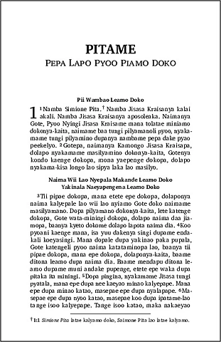 22 - 2 Pita (Enga).pdf