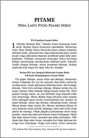 22 - 2 Pita (Enga).pdf